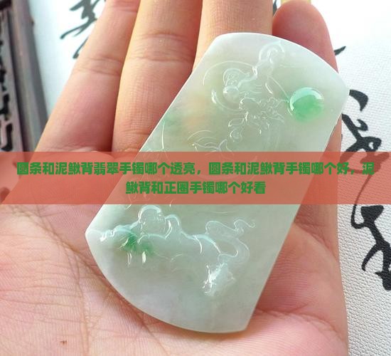 圆条和泥鳅背翡翠手镯哪个透亮，圆条和泥鳅背手镯哪个好，泥鳅背和正圈手镯哪个好看