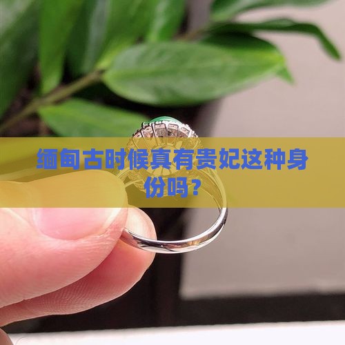 缅甸古代有贵妃吗