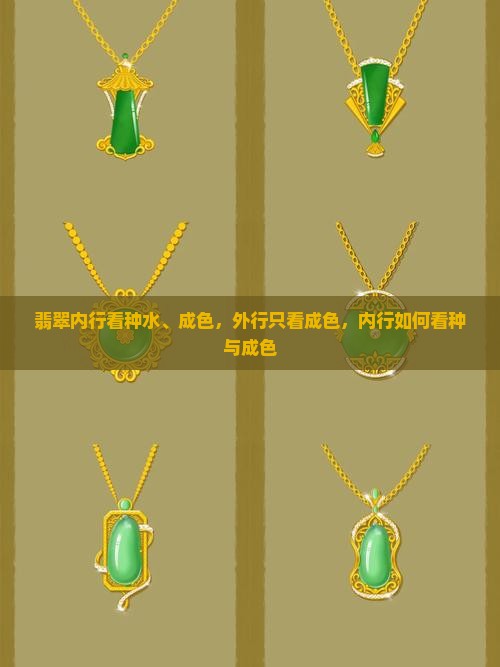 翡翠内行看种