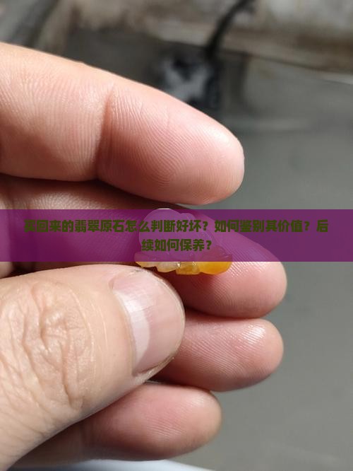 买回来的翡翠原石 买回来的翡翠原石