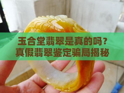 玉合堂翡翠是真的吗