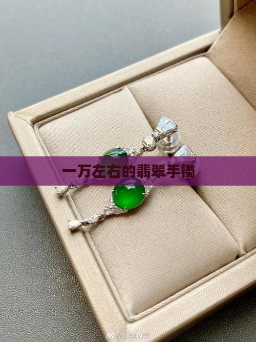 一万左右的糯种翡翠镯子