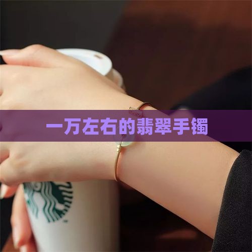 一万左右的糯种翡翠镯子