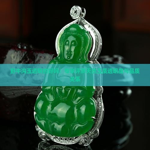 野牛沟玉透明的好吗
