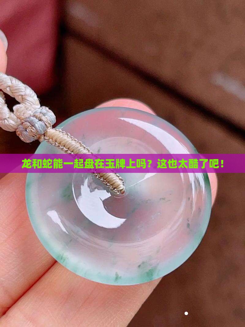 龙和蛇可以一起刻在玉牌上么