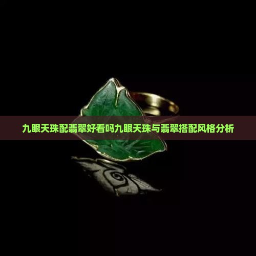 九眼天珠配翡翠好看吗