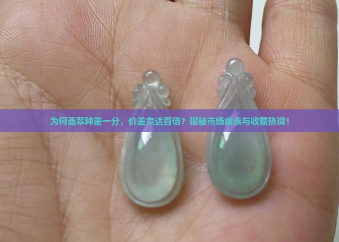 翡翠种差一分价差百倍