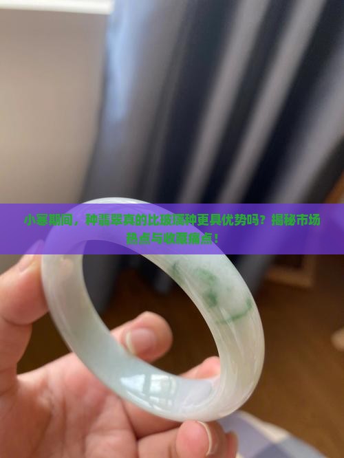 小寒种翡翠比玻璃种好吗