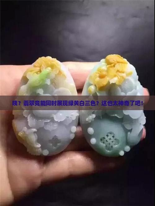 翡翠同时呈现绿黄白三种颜色时