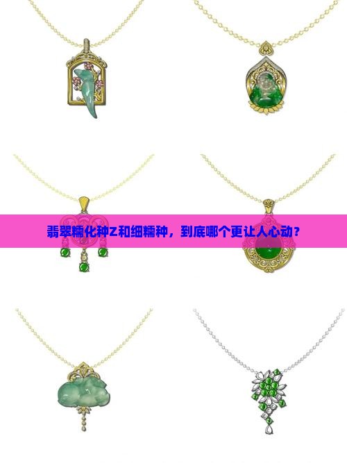 翡翠糯化z和细糯种哪个好