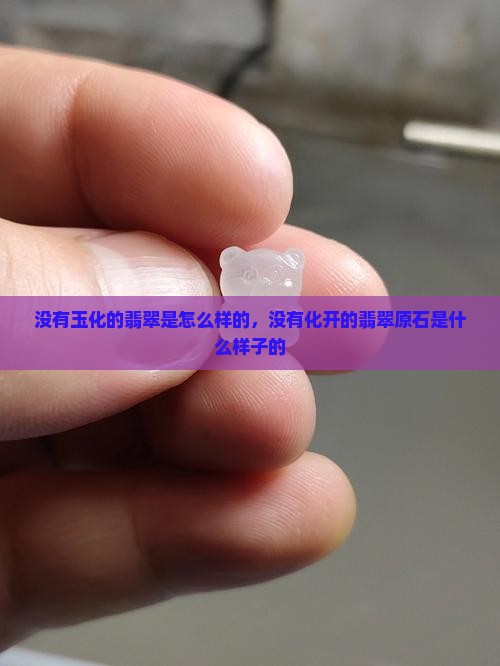 没有玉化的翡翠是怎么样的