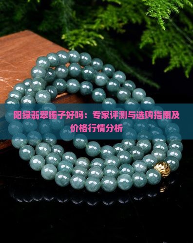 阳绿翡翠镯子好吗