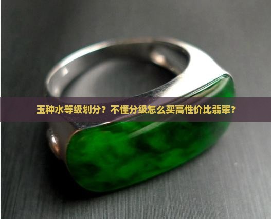 玉种水等级划分
