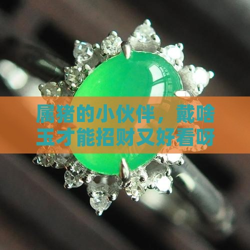 属猪带什么玉好 属猪带什么玉好