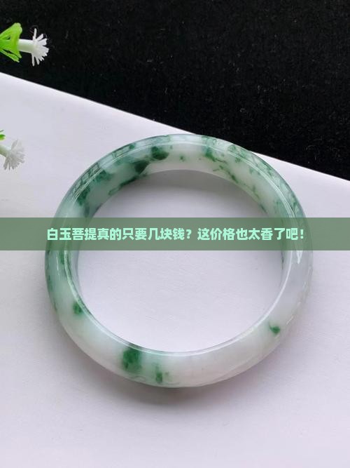白玉菩提几元钱是真的吗