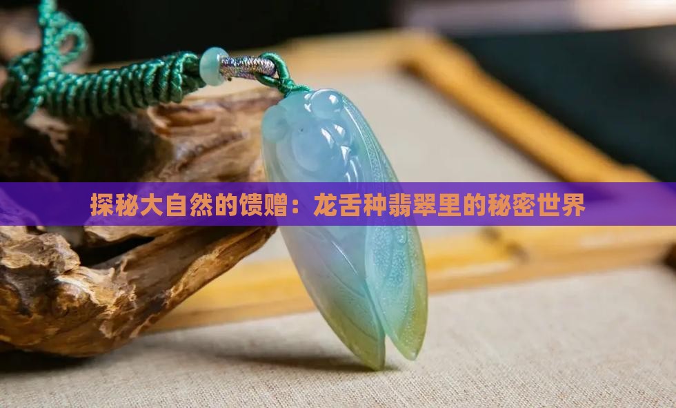 龙舌种翡翠
