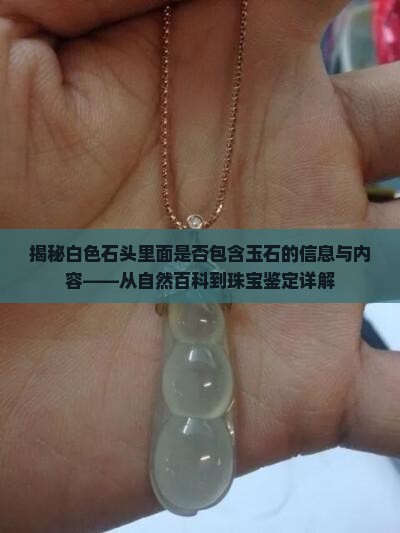 石头是白色的里面有玉吗