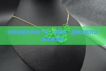 冰糯种和豆种哪个好