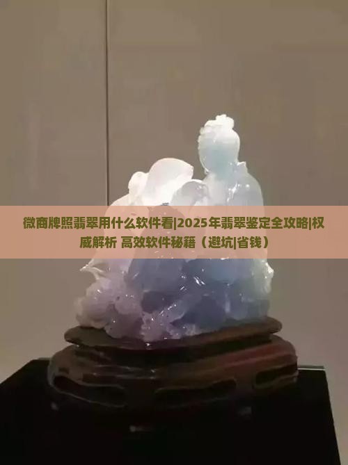 微商牌照翡翠用什么软件看