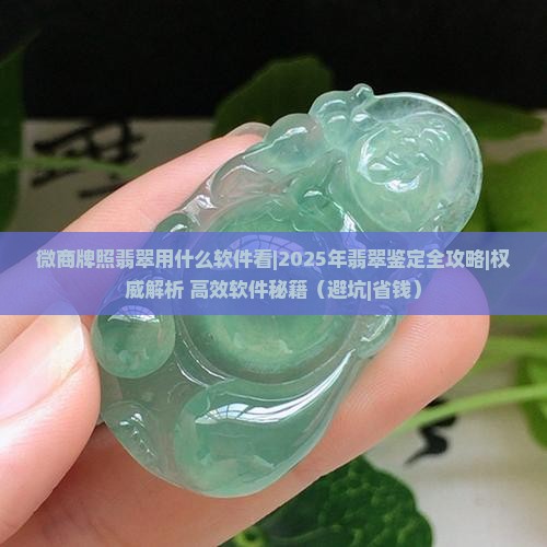 微商牌照翡翠用什么软件看