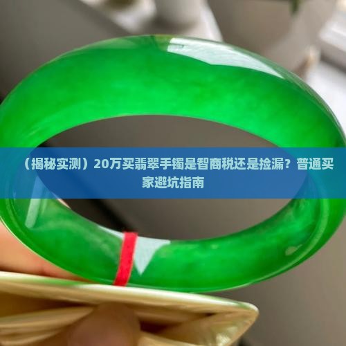 翡翠手镯淘货20万元贵吗