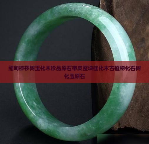 缅甸桫椤树玉化