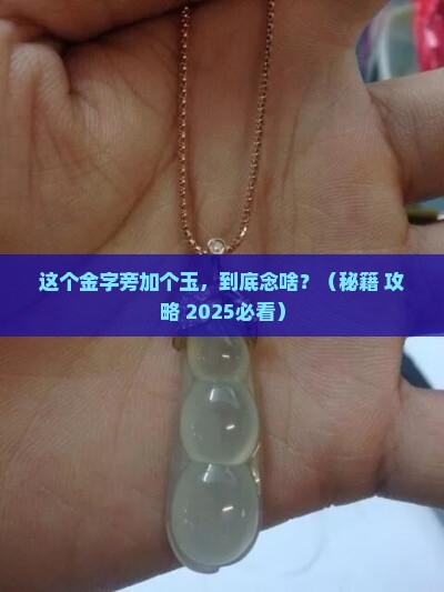 一个金字旁一个玉石的玉念什么