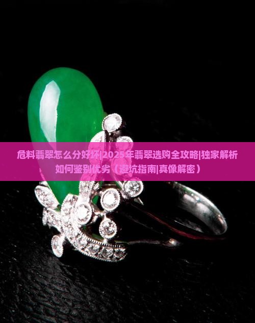 危料翡翠怎么分好坏