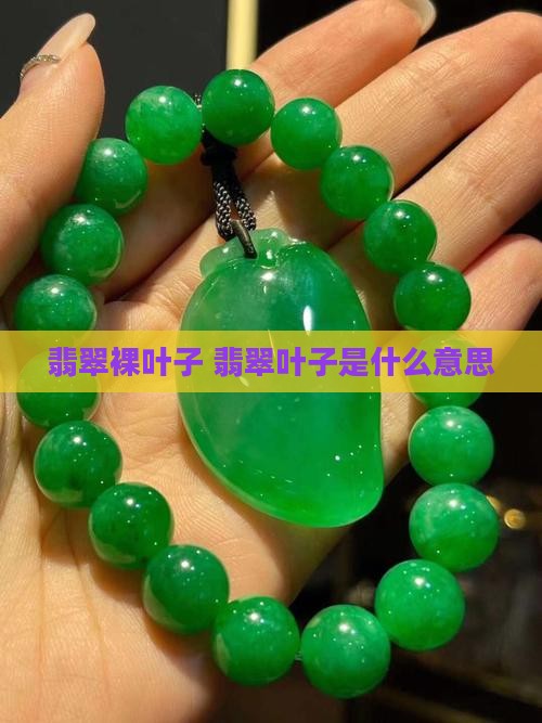 翡翠裸叶子