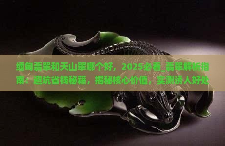 缅甸翡翠和天山翠哪个好
