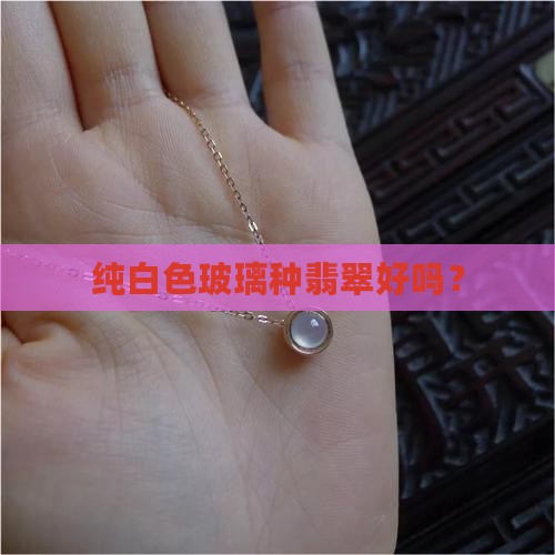 纯白色玻璃种翡翠好吗