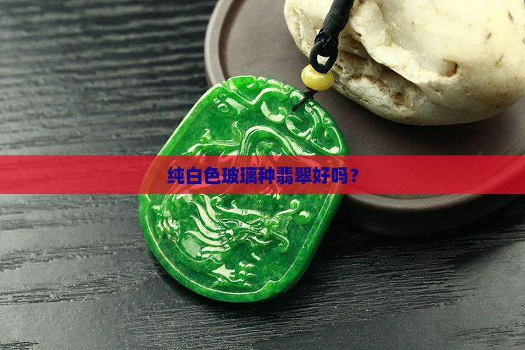 纯白色玻璃种翡翠好吗