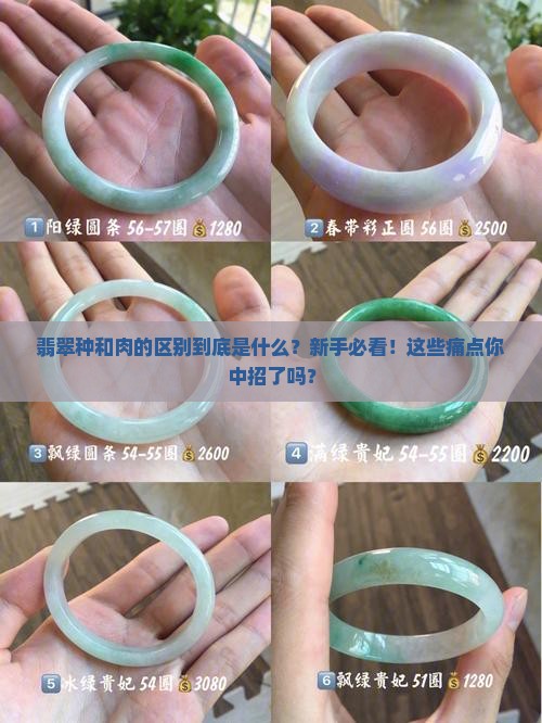 翡翠种和肉的区别