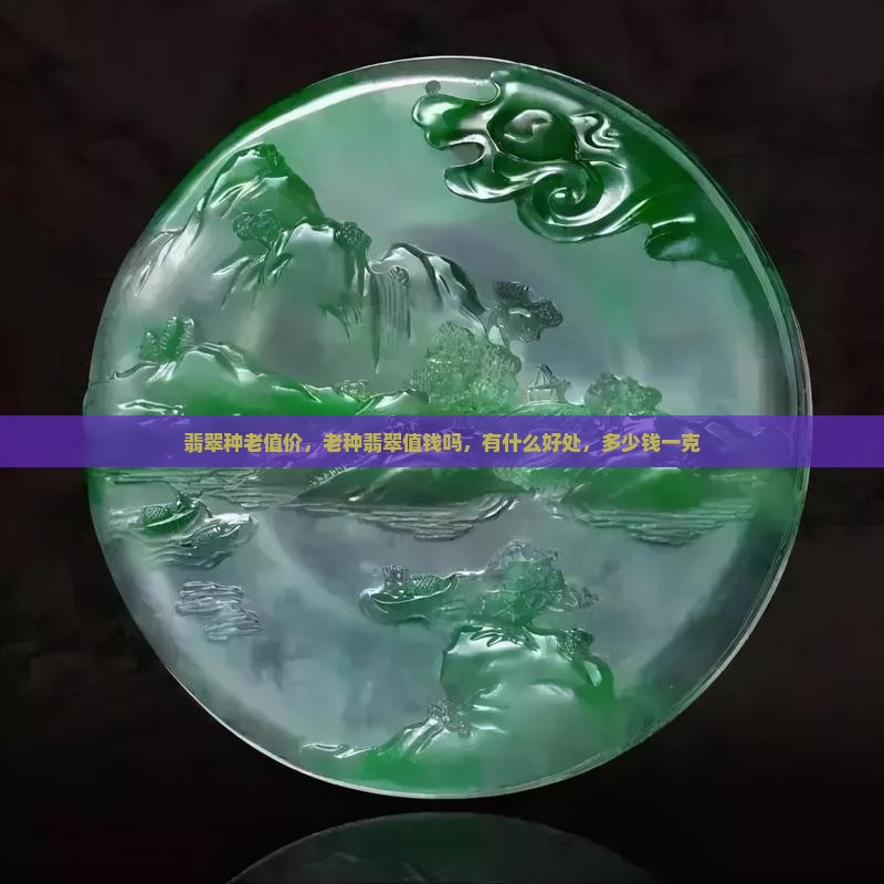 翡翠种老值价