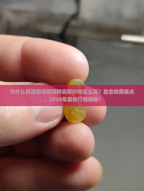极品阳绿玻璃种翡翠价格