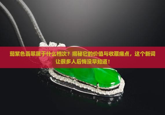 茄紫色翡翠属于什么档次