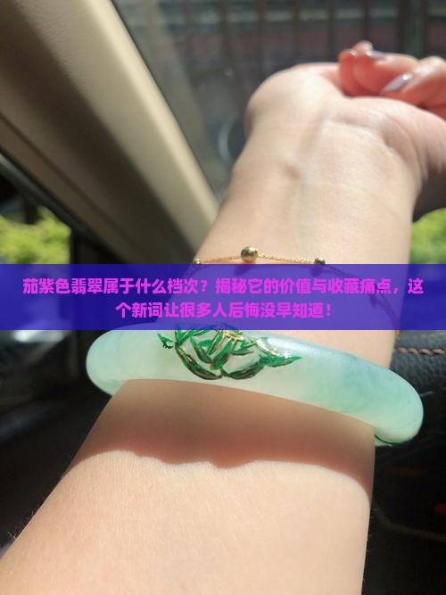 茄紫色翡翠属于什么档次