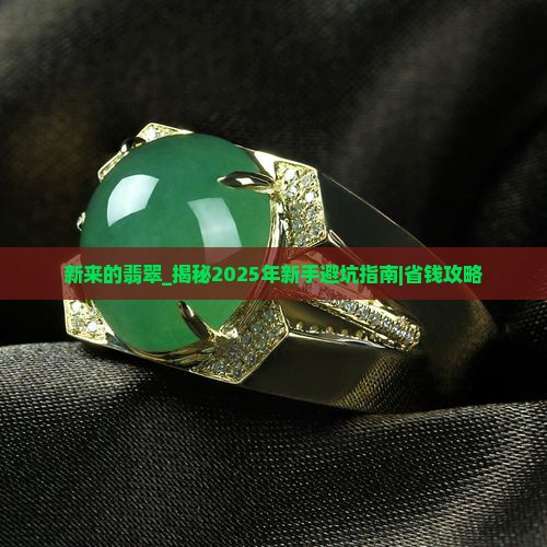 新来的翡翠