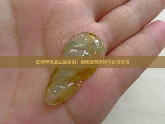 哪种紫色翡翠最贵的