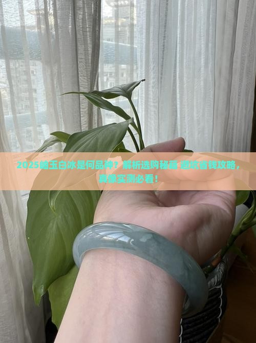 岫玉白冰是什么品种