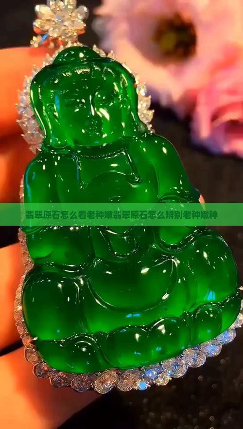 翡翠原石怎么看老种嫩
