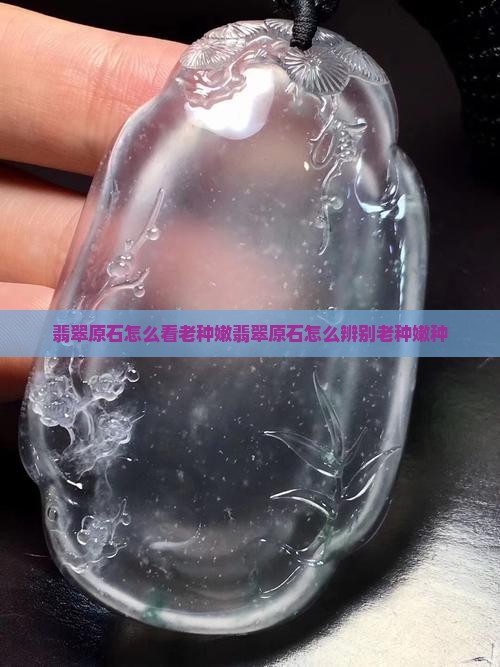 翡翠原石怎么看老种嫩
