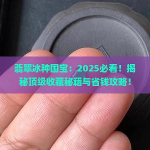 翡翠冰种国宝
