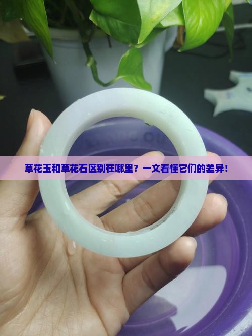 草花玉和草花石区别在哪里 草花玉和草花石区别在哪里