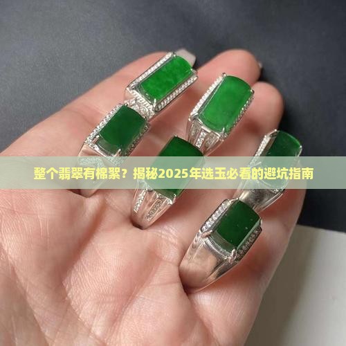 整个翡翠有棉絮 整个翡翠有棉絮