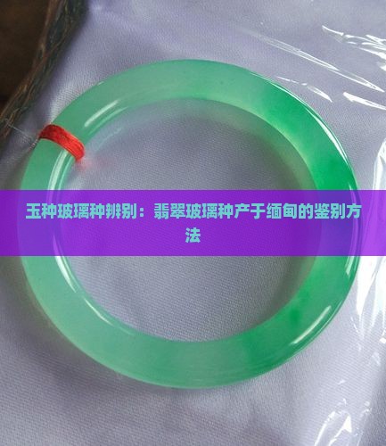 玉种玻璃种辨别