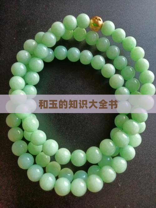 和玉的知识大全书