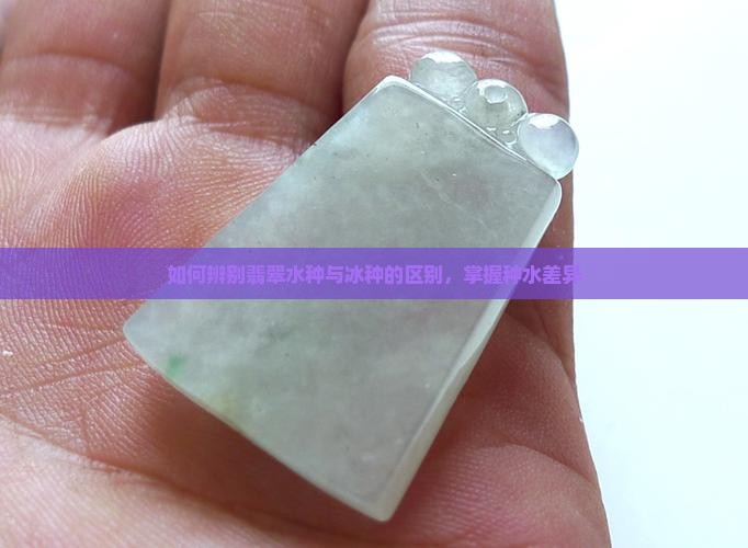 怎么样看到冰种和水种的区别