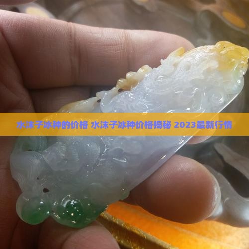 水沫子冰种的价格