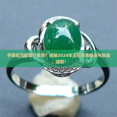 手镯和玉牌哪个更贵